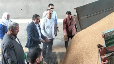 الدقهلية تسجل 682 طن قمح في يوم واحد ضمن منظومة التوريد الناجحة