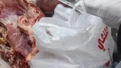 ضبط 7 أطنان لحوم فاسدة في محل جزارة شهير بالجيزة خلال حملة تموينية موسعة