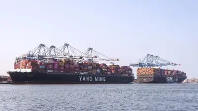 ميناء دمياط يستقبل 7 سفن حاويات وبضائع عامة خلال 24 ساعة