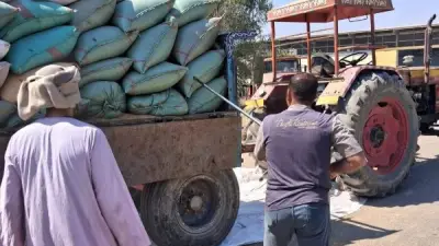 محافظ أسيوط: توريد 7191 طن قمح حتى الآن وتيسيرات شاملة للمزارعين