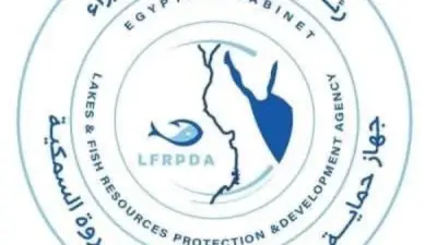 إنتاج 77 طنًا من الأسماك في كفر الشيخ والبحيرة ضمن خطة تطوير المزارع السمكية