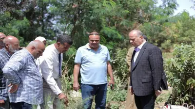 قنا تستلم 8500 شتلة مثمرة ضمن مبادرة 100 مليون شجرة الرئاسية لتعزيز التحول الأخضر
