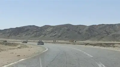 إصابة 9 أشخاص في حادث انقلاب ميكروباص على طريق القصير بالبحر الأحمر