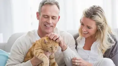 خبير: البشر والقطط يتشاركون 90% من الحمض النووي