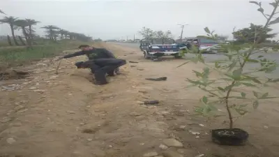 مطاي بالمنيا تزرع 95 شتلة جديدة ضمن مبادرة 100 مليون شجرة لتحسين البيئة