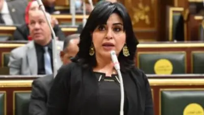 برلمانية تؤكد ضرورة مراعاة حقوق الطفل والأم والأب في مشروع قانون الأحوال الشخصية