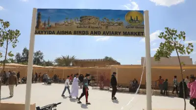 محافظ القاهرة يعلن الانتهاء من سوق الحمام الجديد في السيدة عائشة