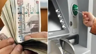 دليل شامل لتوزيع المعاش بين المستحقين وآلية تطبيق الزيادة السنوية