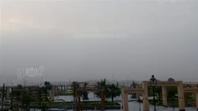 الأرصاد الجوية: أجواء ربيعية ممتعة ليلاً مع نشاط رياح على شمال البلاد حتى القاهرة