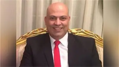 مدير مركز المعلومات الأسبق: الحضانة للأب بعد الأم ضرورة مع إعادة النظر في تخيير الطفل