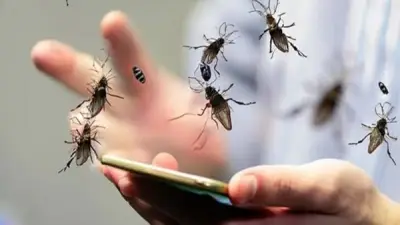 غزو الذباب يهدد المنازل المصرية: نصائح فعالة لمنع دخوله بدون مبيدات