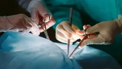 شروط وضوابط زراعة الأعضاء البشرية في القانون المصري: حماية الحقوق ومنع الاستغلال