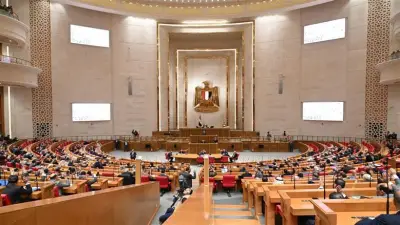 التوأم حسن يكشفان تفاصيل استعدادات منتخب مصر للمونديال أمام لجنة النواب