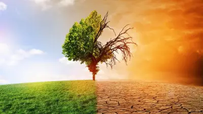 إدارة الموارد الطبيعية تقدم نصائح حيوية لمواجهة آثار تغير المناخ