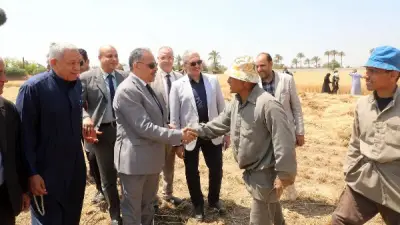 محافظ الشرقية يشهد حصاد القمح ويتفقد مشروع تسمين الجمال في جولة ميدانية شاملة