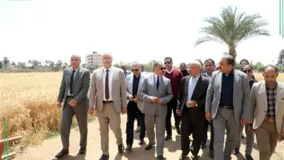 محافظ الشرقية يتفقد حصاد القمح في بلبيس ويوجه بتذليل العقبات أمام المزارعين