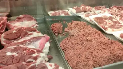 محافظ القليوبية يشرف على حملة تفتيشية تفضي إلى ضبط لحوم ذبيحة مريضة في بنها