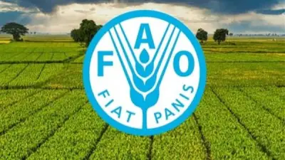 الفاو تحذر: الصراع في الشرق الأوسط يهدد النظم الزراعية الهشة وسلاسل الإمداد العالمية