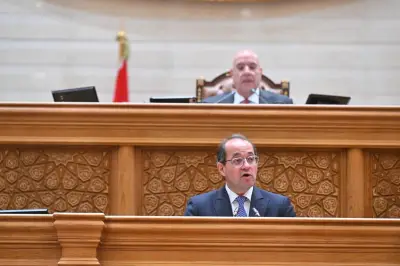 وزير المالية يعلن إطلاق القائمة البيضاء وتطبيق نظام ضريبي مبسط للشركات