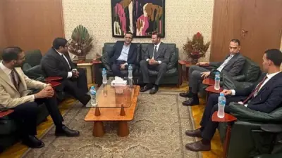 لجنة شباب محامين شمال القاهرة تلتقي نقيب الصحفيين لتعزيز التعاون في التدريب المهني