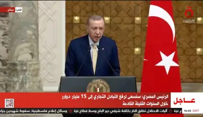 أردوغان يعلن سعي تركيا لإحياء مفاوضات السلام بين روسيا وأوكرانيا