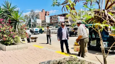 محافظ كفر الشيخ يتابع رفع كفاءة وتجميل مدخل مدينة الرياض