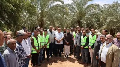 محافظ الوادي الجديد تطلق طفيل الترايكوجراما لمكافحة آفات النخيل