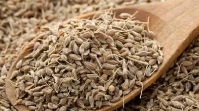 غير البرد والهضم.. فوائد لا تعرفها عن اليانسون لعلاج الاكتئاب وصحة الجلد