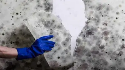 ورق الألومنيوم في مطبخك.. الحل السحري لمكافحة الرطوبة على الجدران