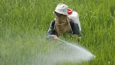 دليلك لحماية نفسك ومحصولك من مخاطر المبيدات الزراعية