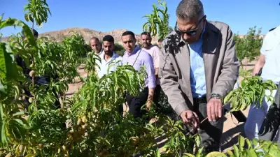 محافظ جنوب سيناء يتفقد مزارع متضرري السيول بوادي سعال ويوجه بدعم عاجل