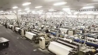 إشادة حكومية بخبراء: الصناعات النسيجية تقود قفزة التصدير نحو العالمية