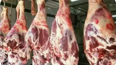 استقرار أسعار اللحوم الطازجة بأسواق الوادي الجديد اليوم الجمعة