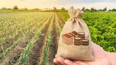 خطة التضامن لتوفير قروض ميسرة للسيدات لتحقيق التمكين الاقتصادي