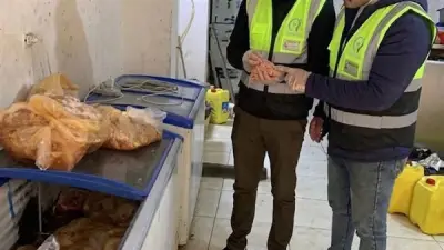 ضبط طن لحوم ودواجن فاسدة داخل مطعم شهير بالجيزة