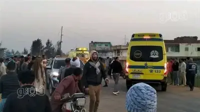 مصرع سيدة صدمتها سيارة مجهولة بطريق المنصورة بالدقهلية