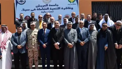 التعليم العالي في سيناء: جامعات تكنولوجية وأهلية جديدة بذكرى التحرير