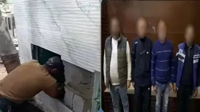 الداخلية تكشف حقيقة فيديو هدم المقابر في الإسكندرية وتضبط المتورطين