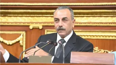 الطماوي: الأمن أساس حقوق الإنسان وسيناء نموذج للتحول من الإرهاب إلى التنمية