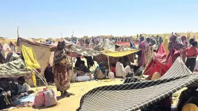 الكتلة الديمقراطية: انتصارات الجيش في النيل الأزرق تحمل أبعادًا استراتيجية واقتصادية وأمنية