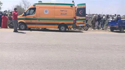 مصرع سيدة صدمتها سيارة مجهولة على طريق المنصورة - شها