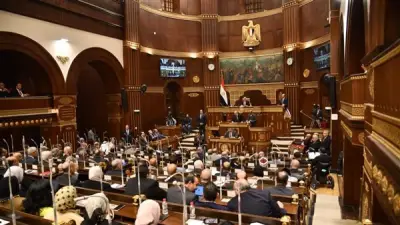 رئيس مجلس الشيوخ يفتتح الجلسة العامة لمناقشة قضايا الرياضة