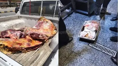 غلق مطعم شهير ببني سويف شهراً لضبط لحوم منتهية الصلاحية بداخله