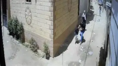 عقر كلب ضال لطفل في فاقوس يثير الذعر والأهالي يطالبون بحلول جذرية