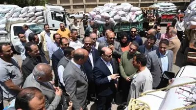 محافظ الغربية يتفقد صوامع القمح في طنطا لمتابعة التوريد والتخزين