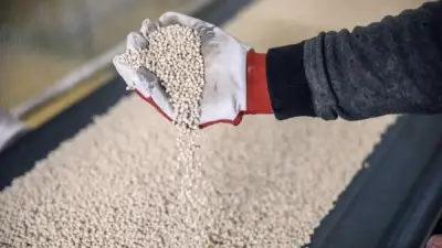 أزمة الأسمدة في السوق الحر تثير قلق الفلاحين وإرشادات للموسم الصيفي