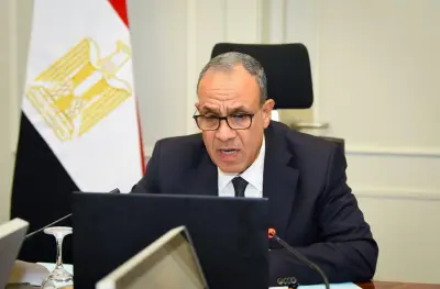 وزير الخارجية: نهدف لتعزيز حقوق الإنسان والعدالة الاجتماعية في مصر