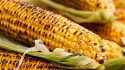 أخصائي تغذية يحذر من مخاطر الذرة المشوى على الفحم