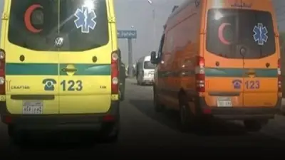 مصرع شاب وإصابة آخر في انقلاب سيارة بالفيوم