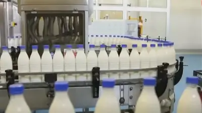 تحذير طبي: اللبن الفاسد المعالج كيميائياً يسبب تهتك الأمعاء ونزيفاً داخلياً